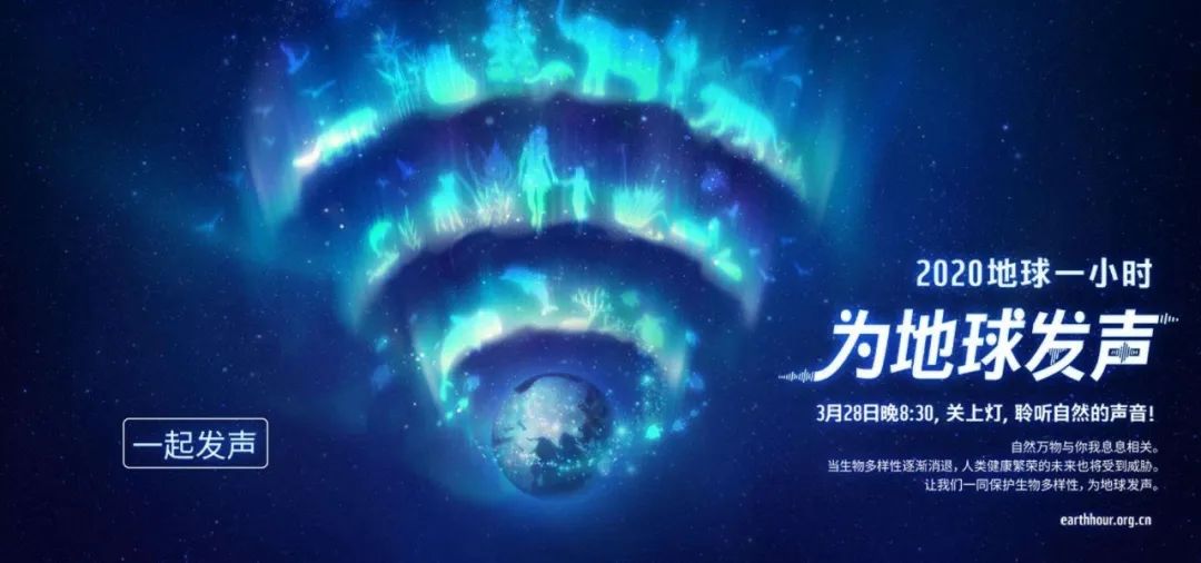 環(huán)保進行時 | 華洲木業(yè)，用行動為地球發(fā)聲(圖1)