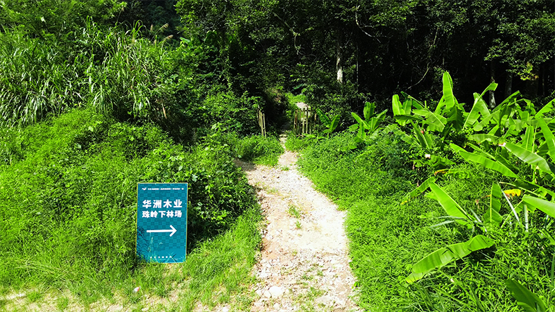嚴(yán)格選材，只為一張好板材！(圖1)